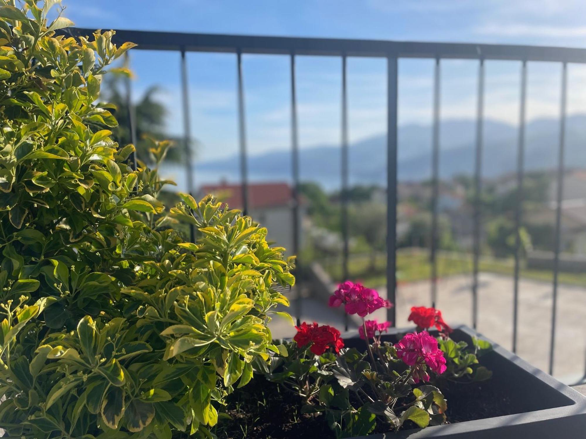 קסטב Apartments Alba Chiara מראה חיצוני תמונה