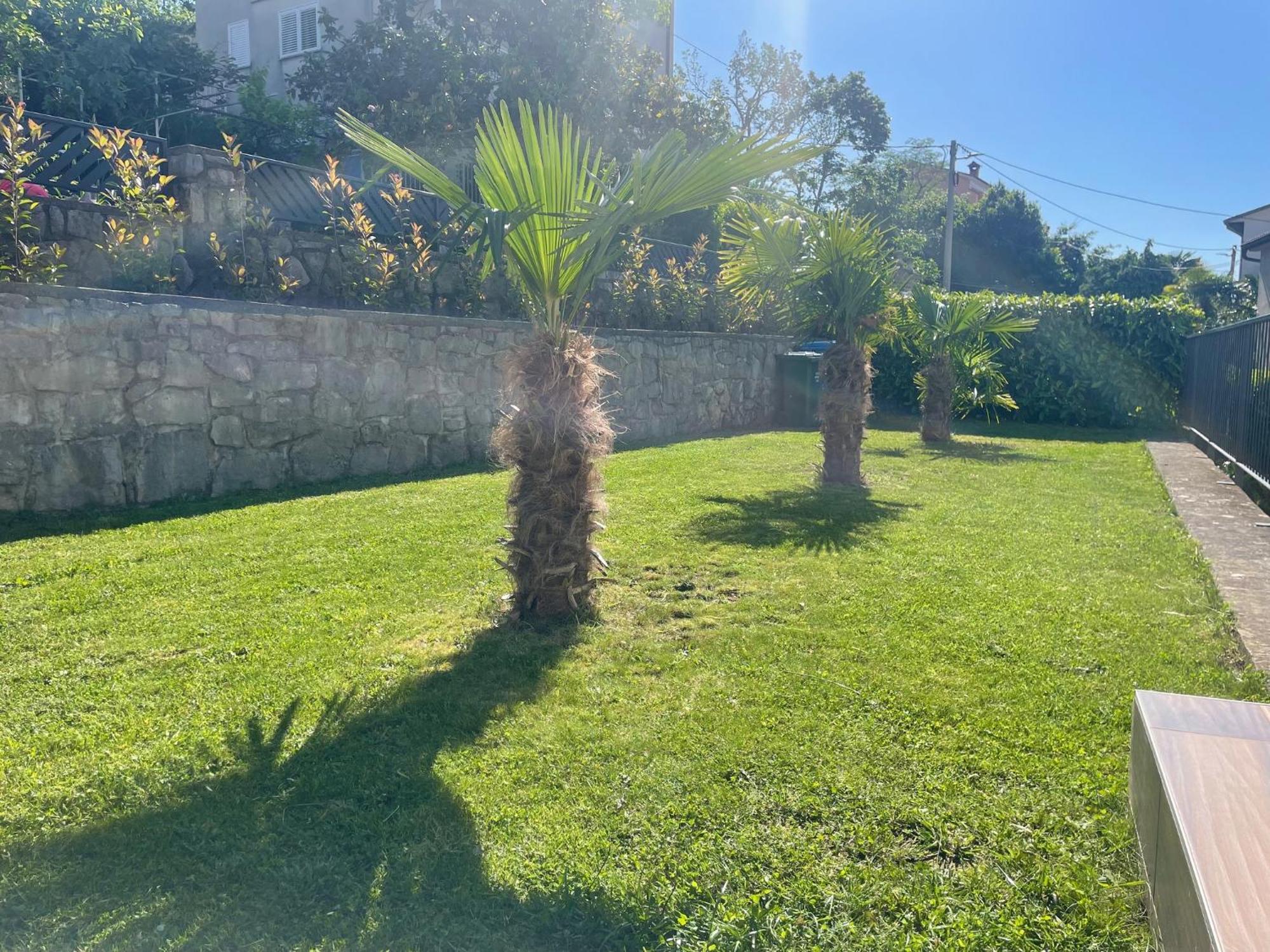 קסטב Apartments Alba Chiara מראה חיצוני תמונה